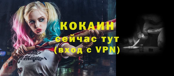 стаф Тобольск