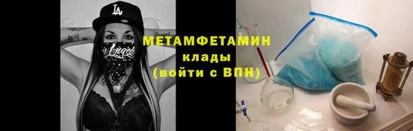 PSILOCYBIN Тайга