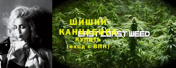PSILOCYBIN Тайга