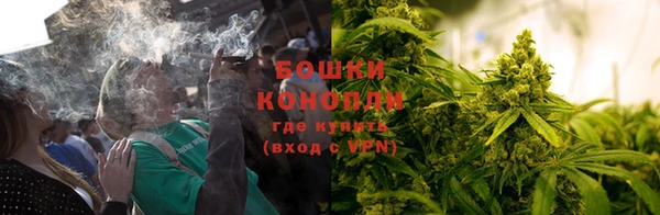 PSILOCYBIN Тайга