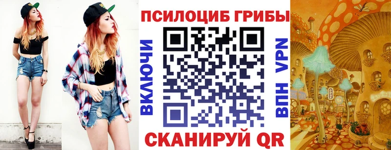 Купить закладки Шиханы Галлюциногенные грибы мухоморы